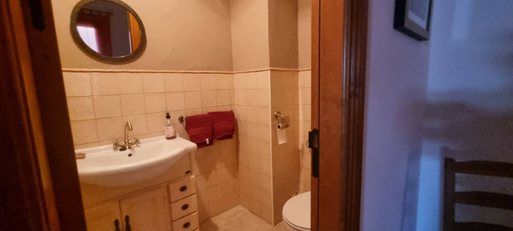 Detached Villa Cortes de la Frontera Málaga - image 22