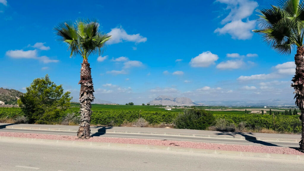 Ground Floor Apartment Algorfa Alicante - image 22