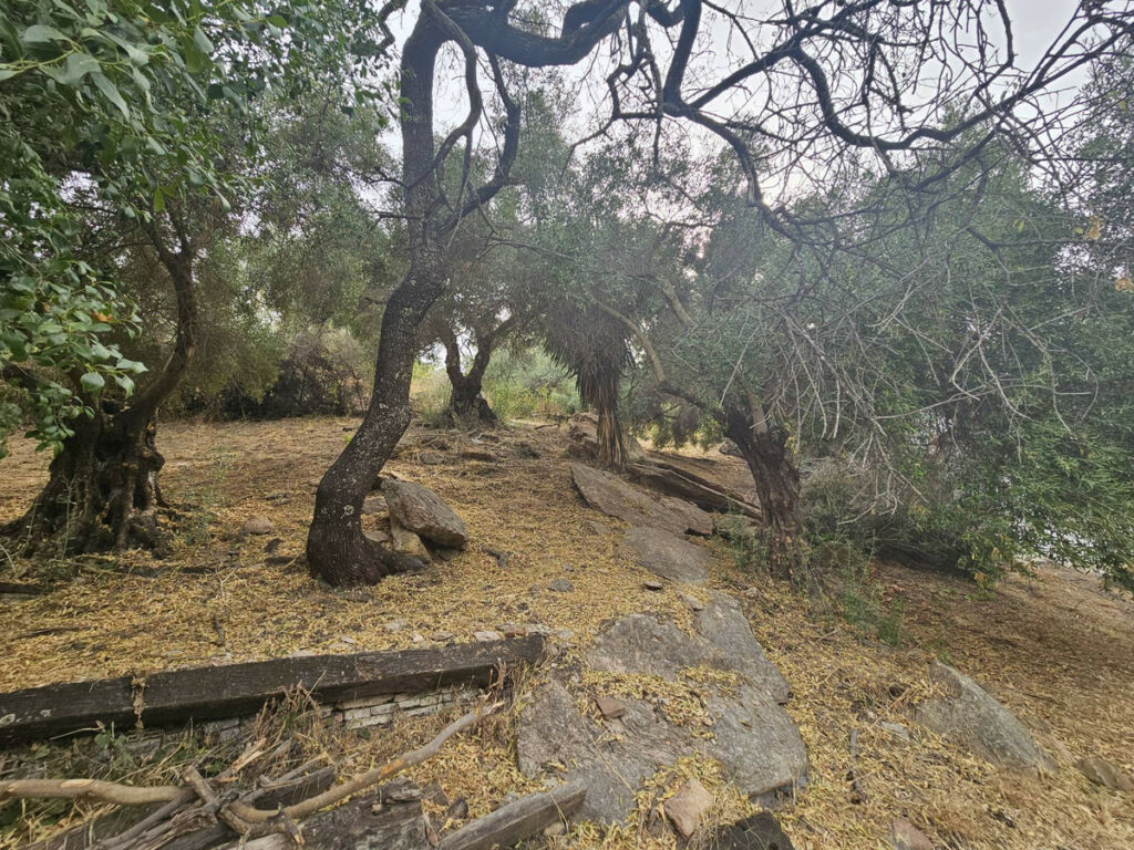 Finca - Cortijo Gaucín Málaga - image 23