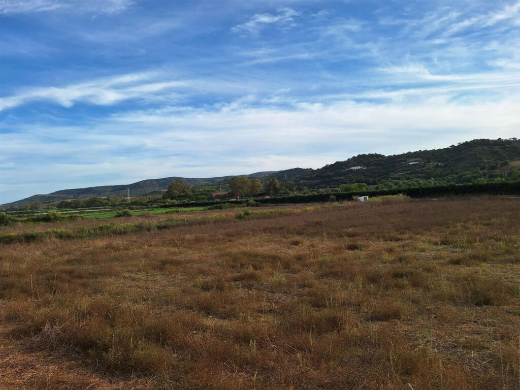 Finca - Cortijo San Martín de Tesorillo Cádiz - image 23