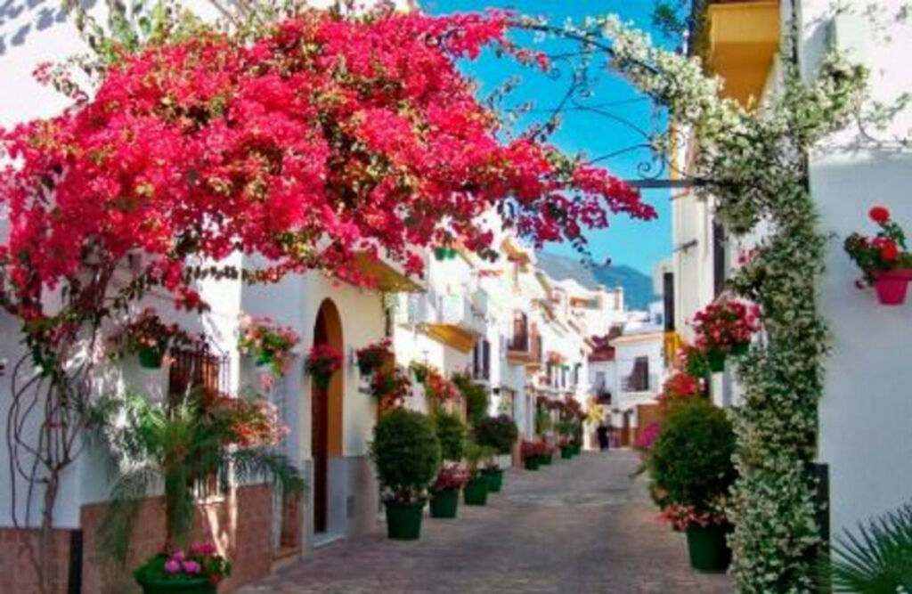 Detached Villa Estepona Málaga - image 23