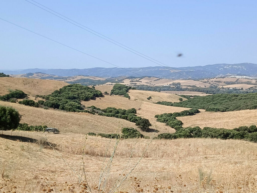 Farm Gaucín Málaga - image 19