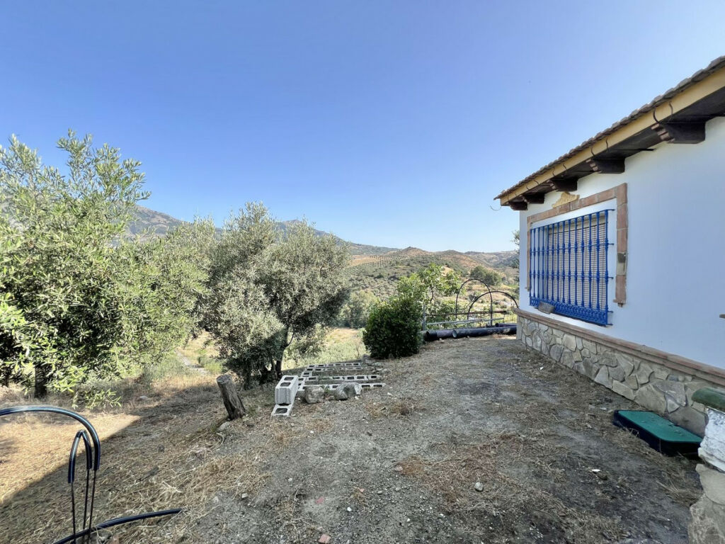 Finca - Cortijo Casarabonela Málaga - image 23