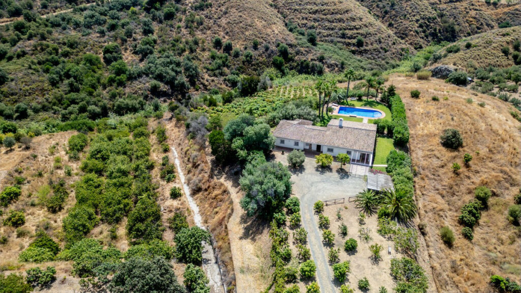Detached Villa Mijas Málaga - image 23
