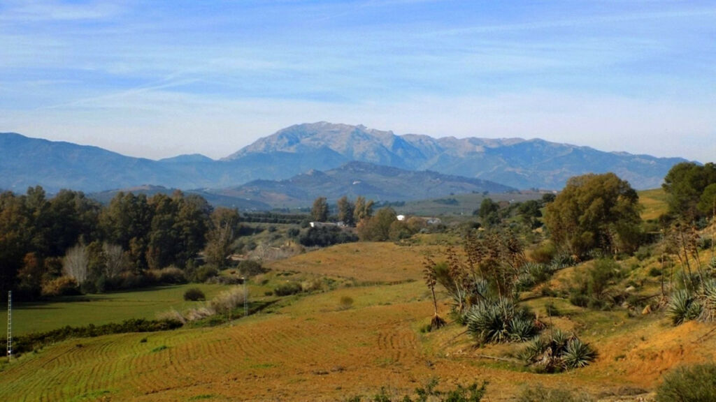 Farm Coín Málaga - image 23