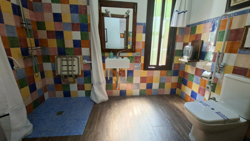 Detached Villa Arriate Málaga - image 23