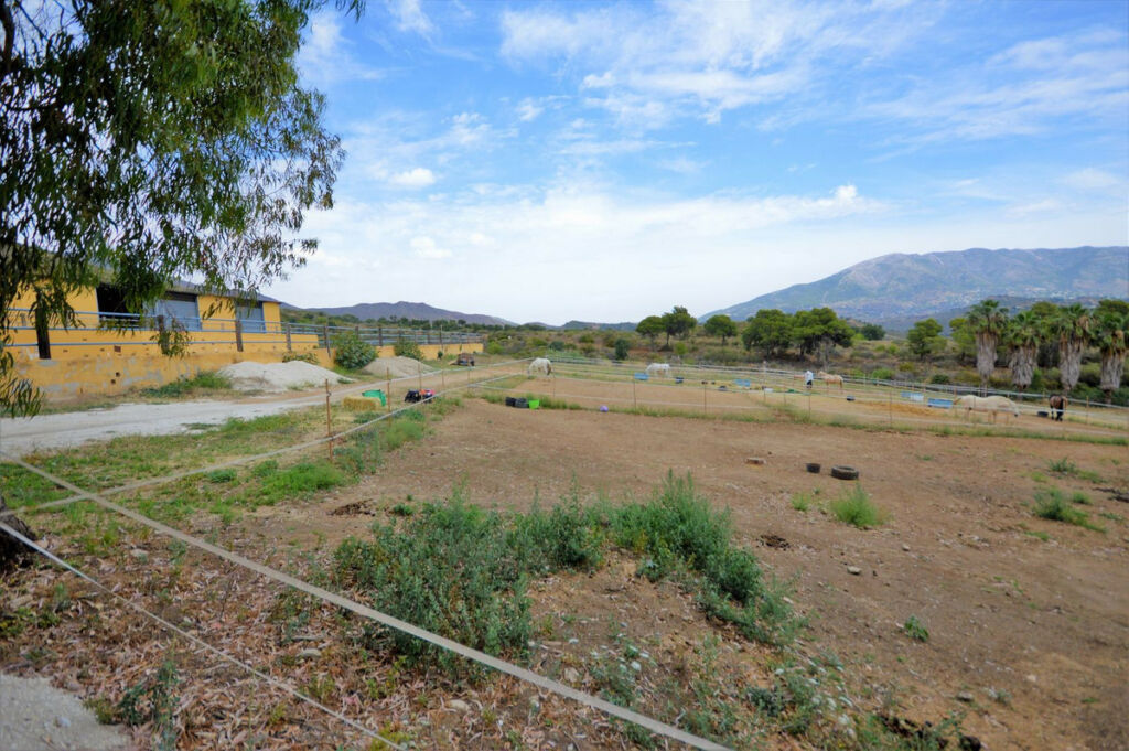Finca - Cortijo Mijas Málaga - image 23
