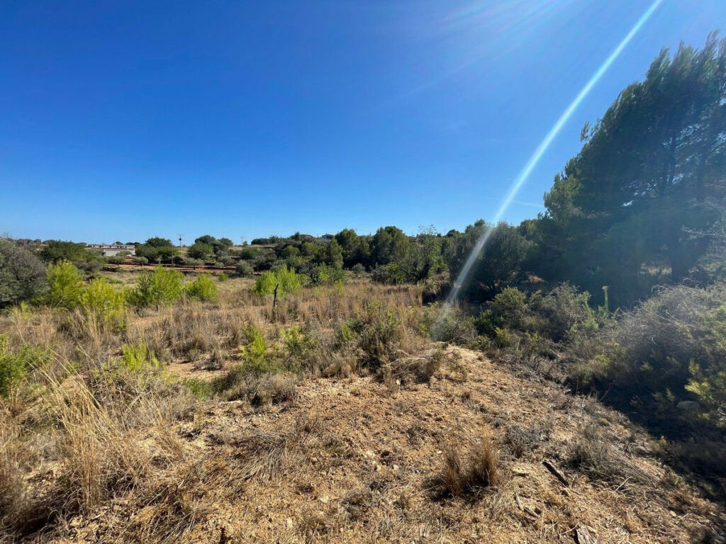 Residential Plot Benissa Alicante - image 23