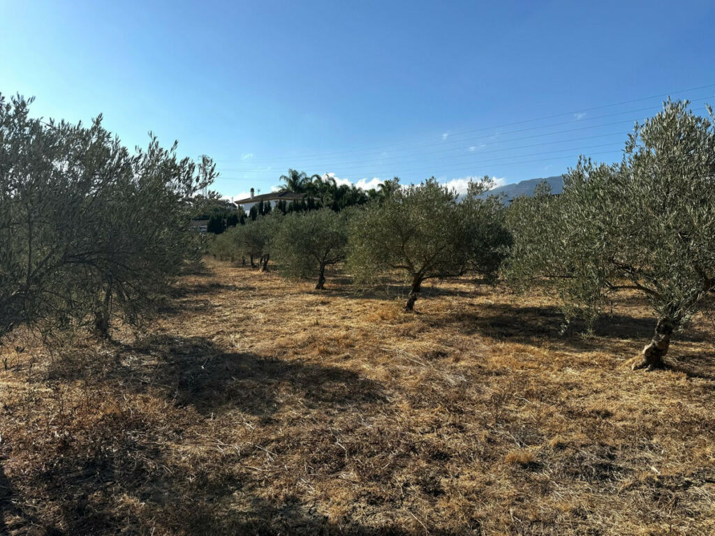 Finca - Cortijo Alhaurín el Grande Málaga - image 23