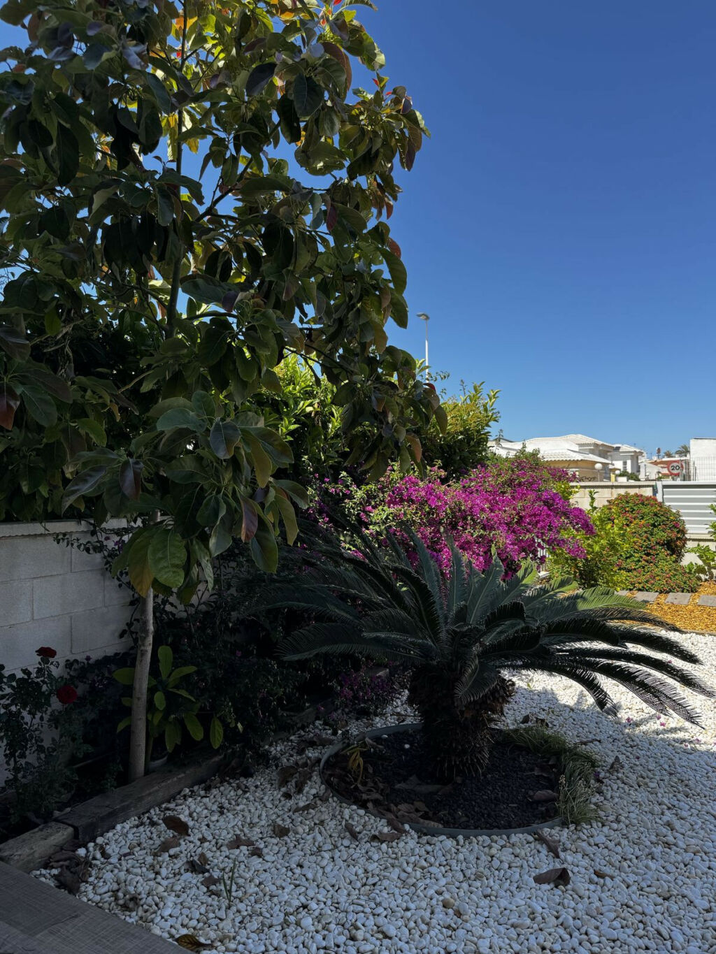 Ground Floor Apartment Torrevieja Alicante - image 24
