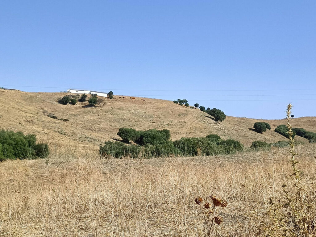 Farm Gaucín Málaga - image 20