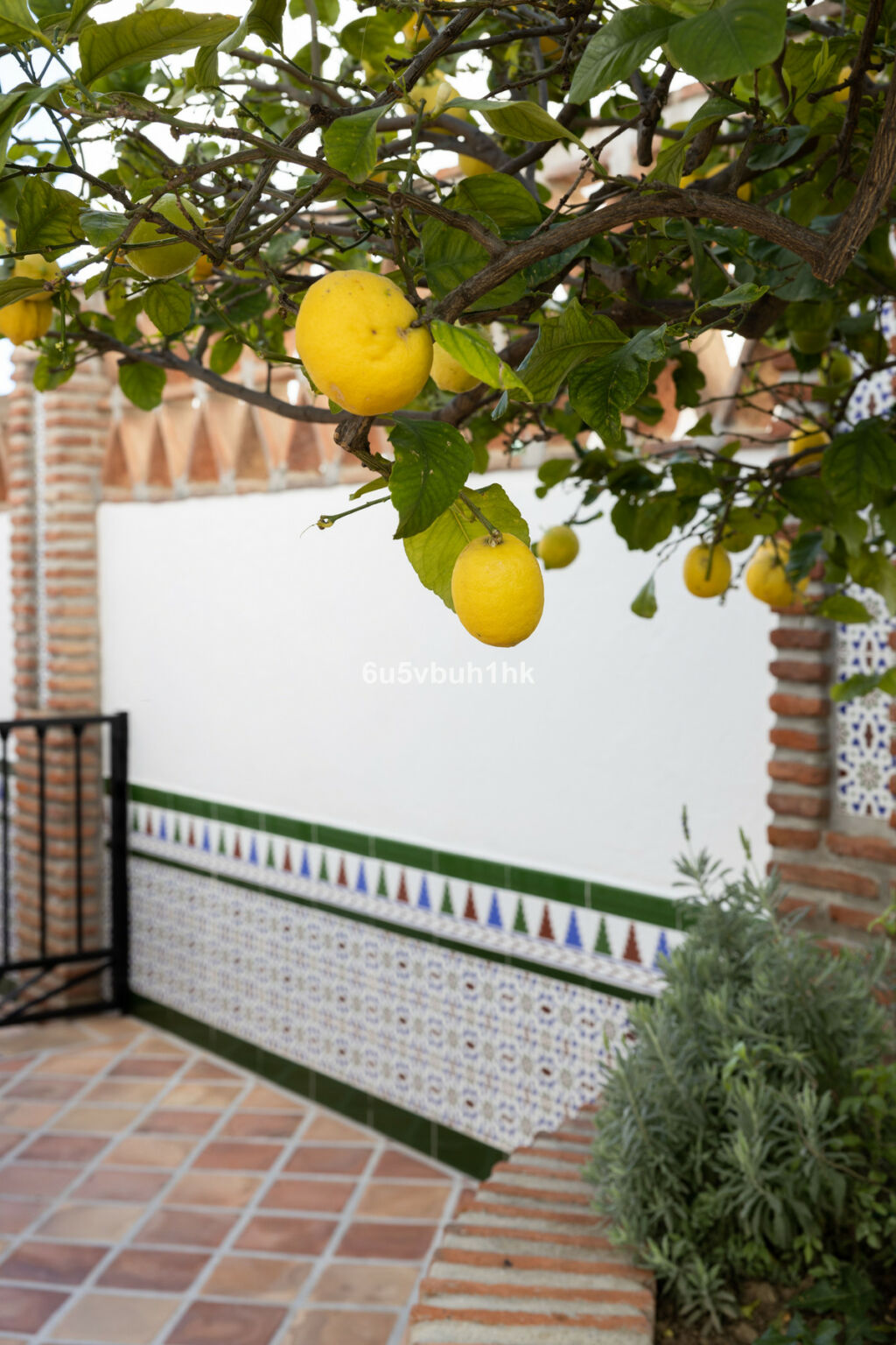 Detached Villa Mijas Málaga - image 24