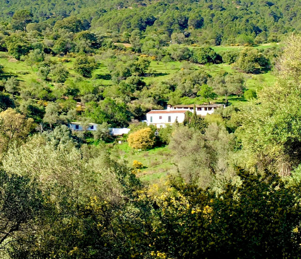 Finca - Cortijo Gaucín Málaga - image 24