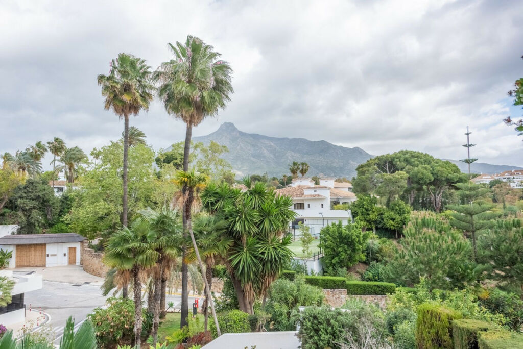 Middle Floor Apartment The Golden Mile Málaga - image 24