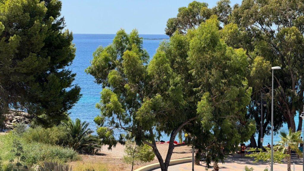 Middle Floor Apartment Villajoyosa Alicante - image 24