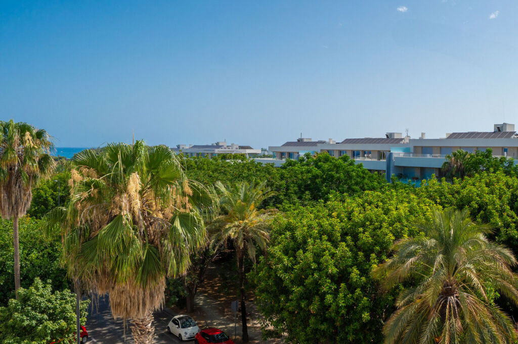 Penthouse San Pedro de Alcántara Málaga - image 24