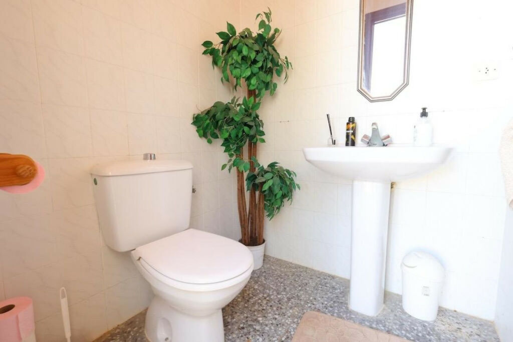 Detached Villa Torrevieja Alicante - image 24
