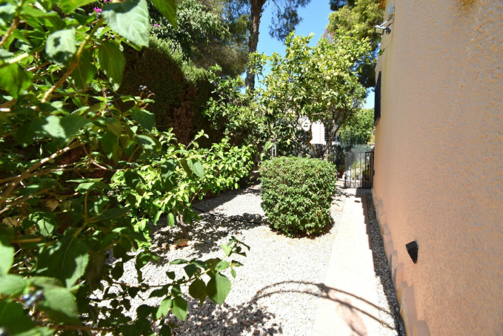 Detached Villa Los Balcones Alicante - image 25
