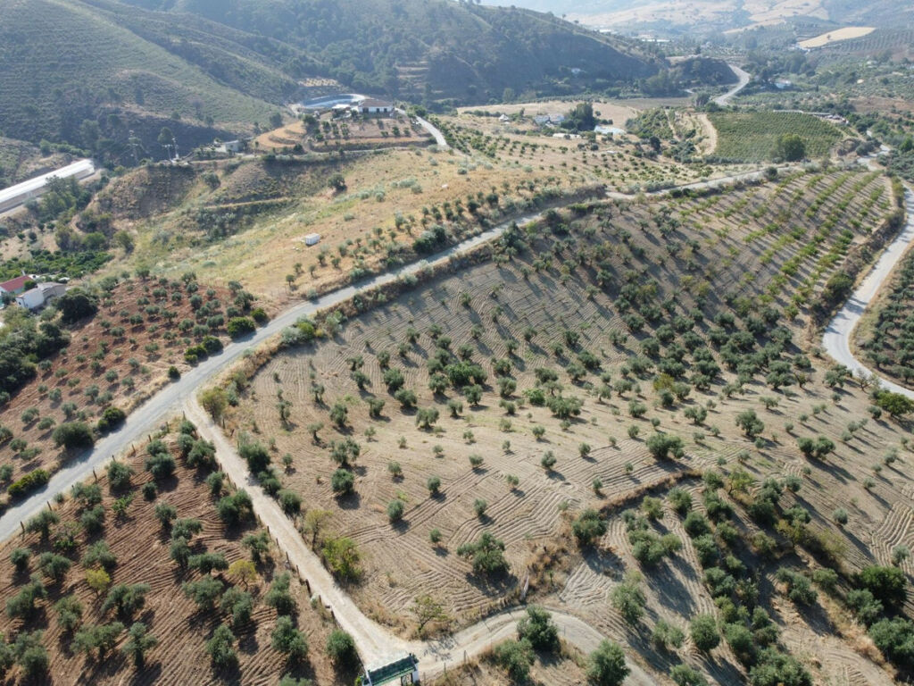 Finca - Cortijo Casarabonela Málaga - image 25