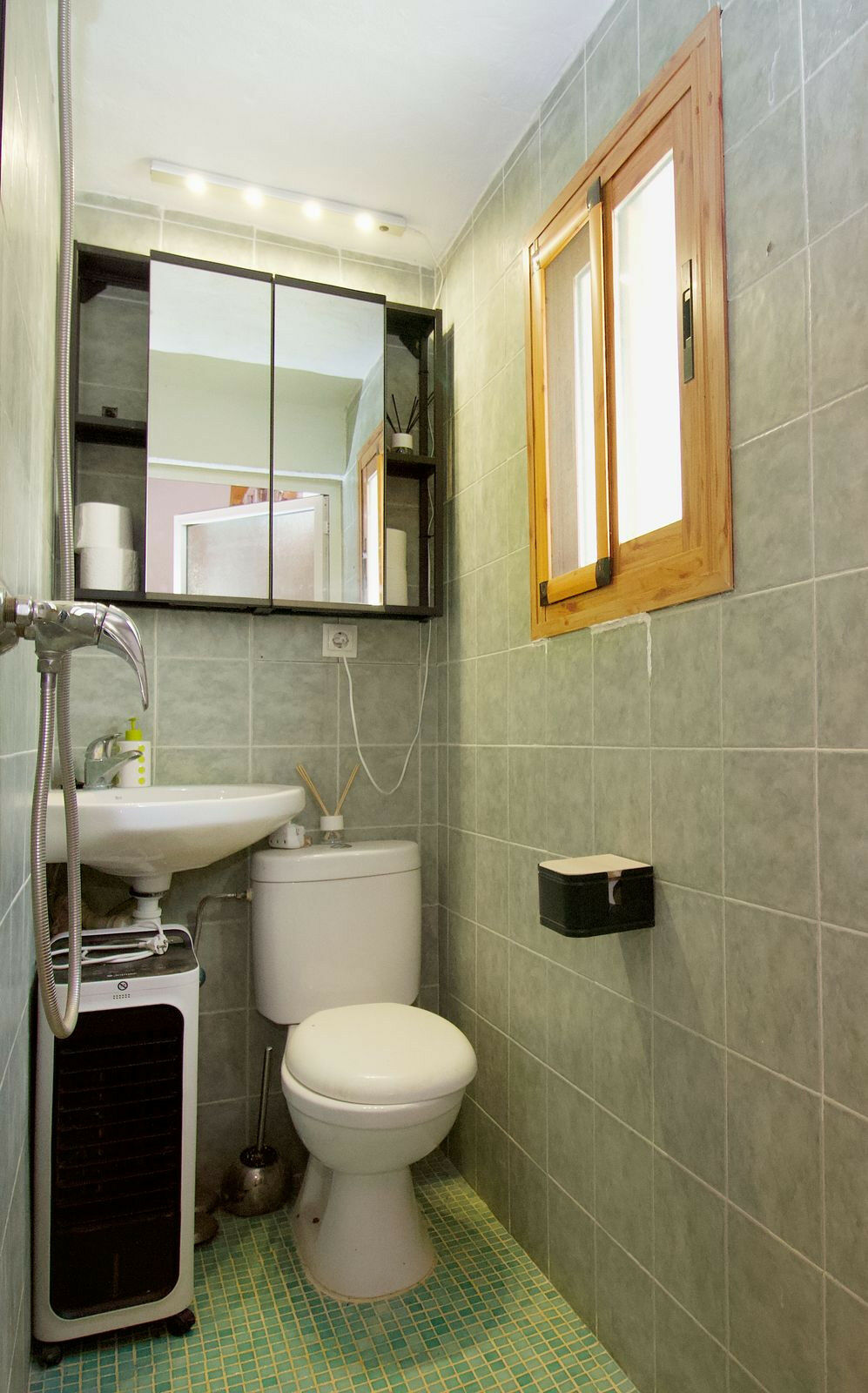 Detached Villa Coín Málaga - image 25
