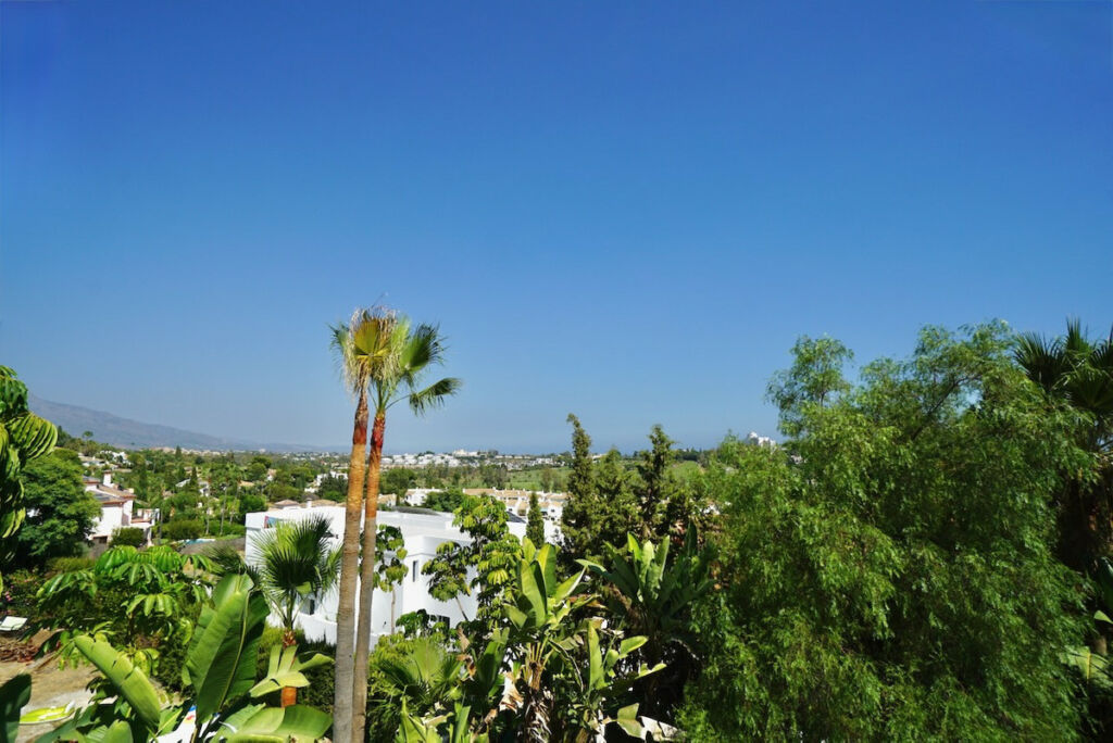Detached Villa Benahavís Málaga - image 25