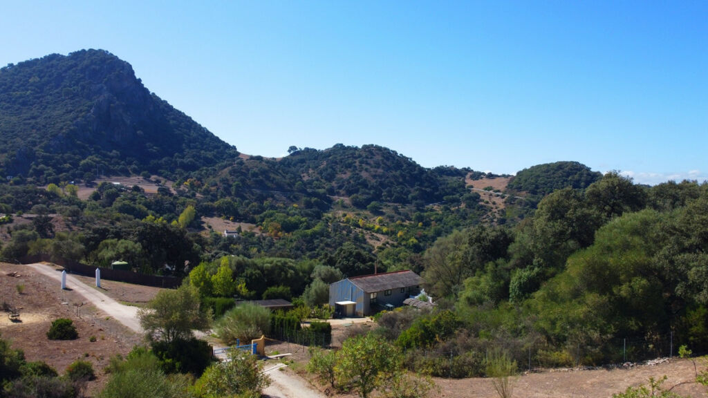 Finca - Cortijo Gaucín Málaga - image 25