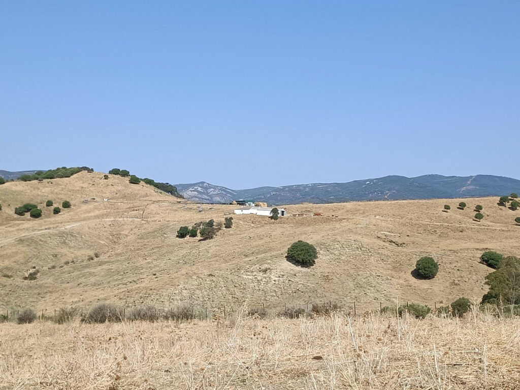 Farm Gaucín Málaga - image 21
