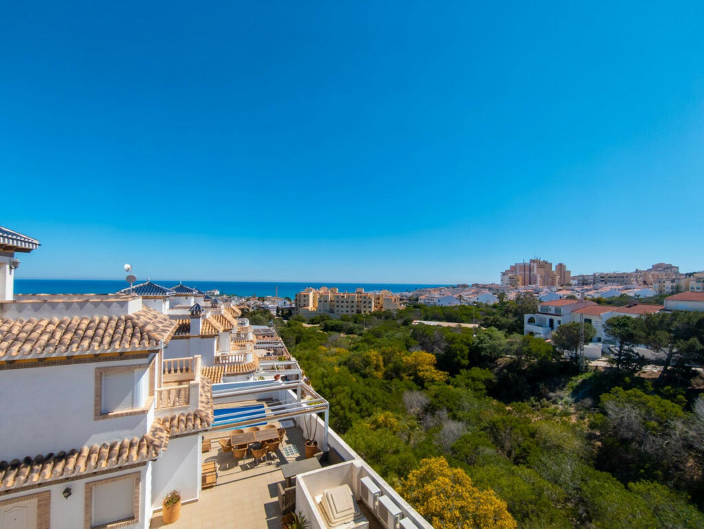 Detached Villa La Mata Alicante - image 25