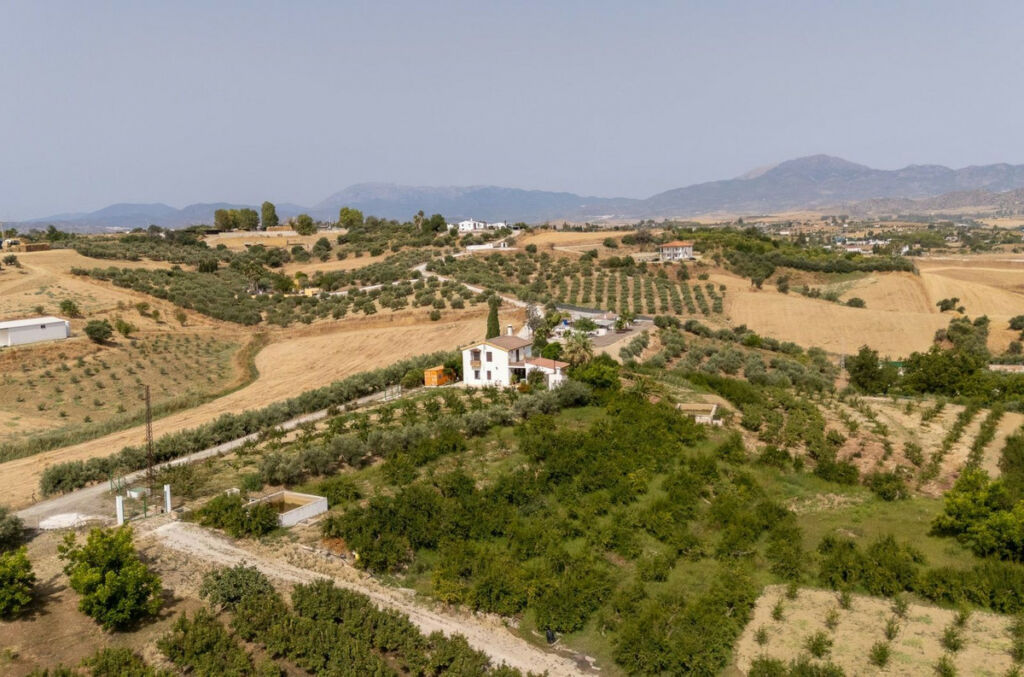 Detached Villa Cártama Málaga - image 25