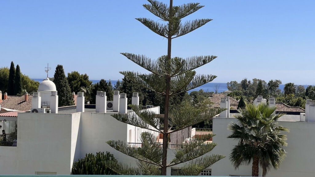 Penthouse San Pedro de Alcántara Málaga - image 25