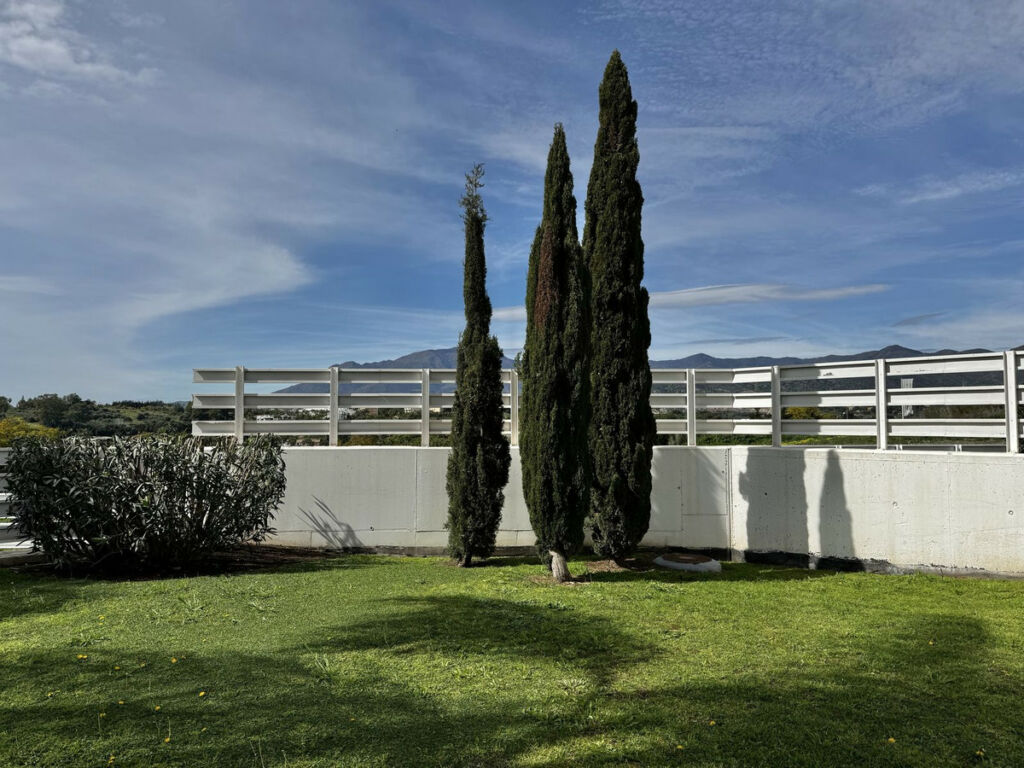 Ground Floor Apartment Cancelada Málaga - image 26