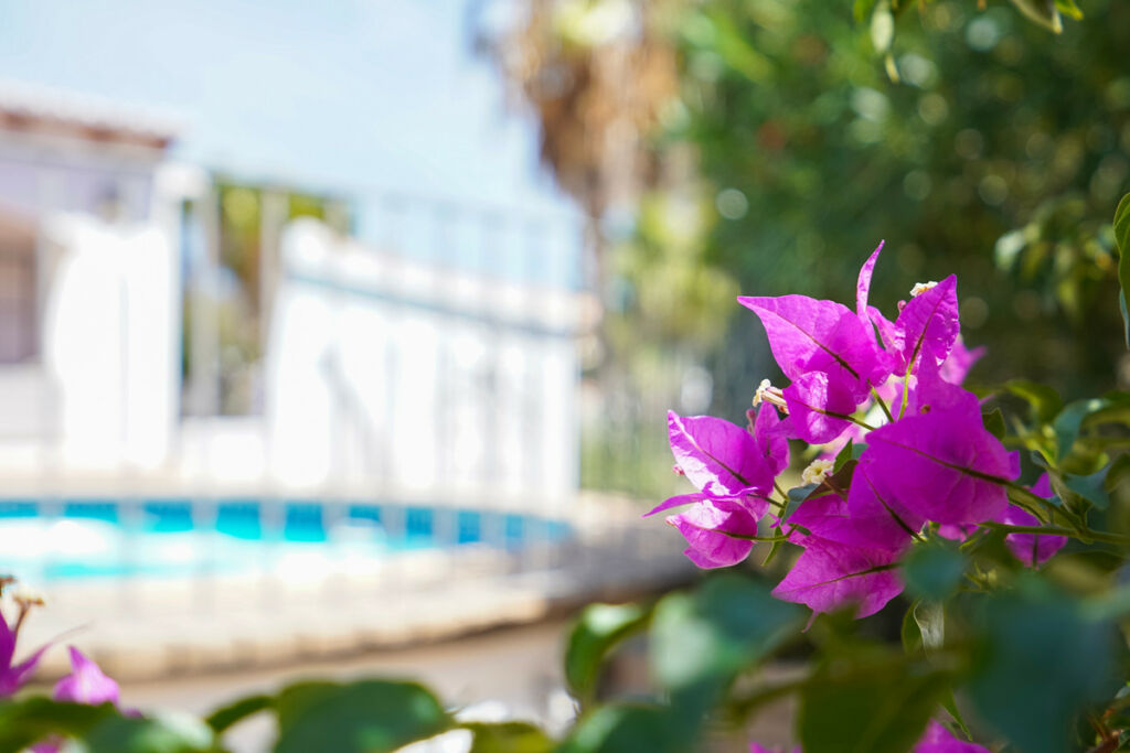 Detached Villa Javea Alicante - image 26