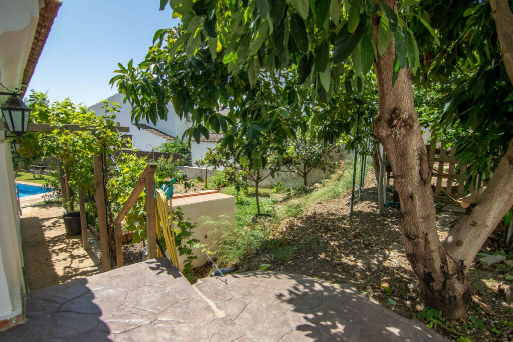 Detached Villa Estepona Málaga - image 26