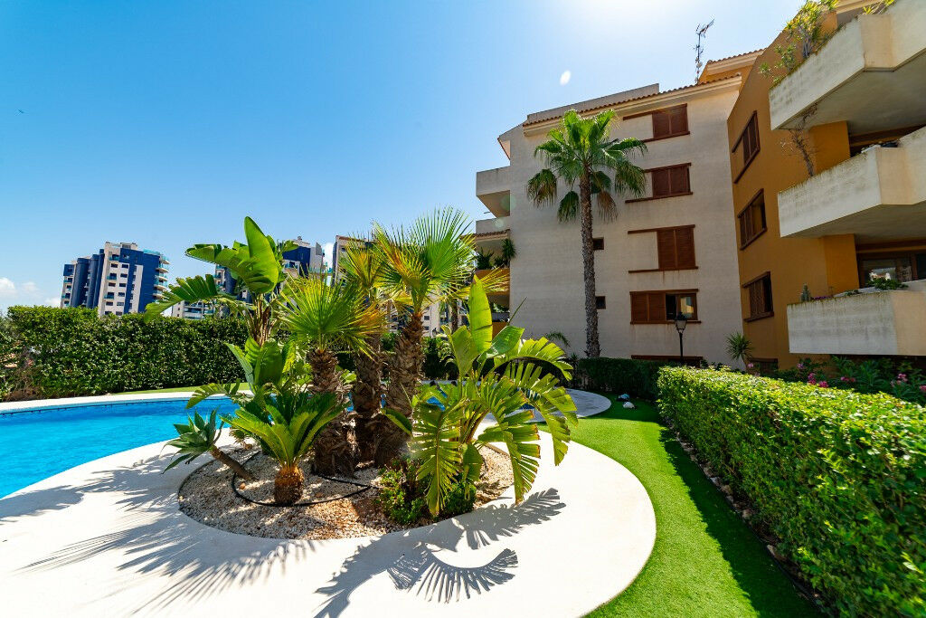 Middle Floor Apartment Punta Prima Alicante - image 26