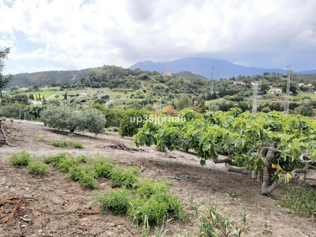 Detached Villa Estepona Málaga - image 26