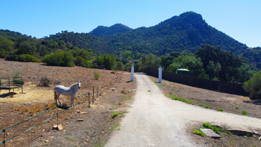 Finca - Cortijo Gaucín Málaga - image 26