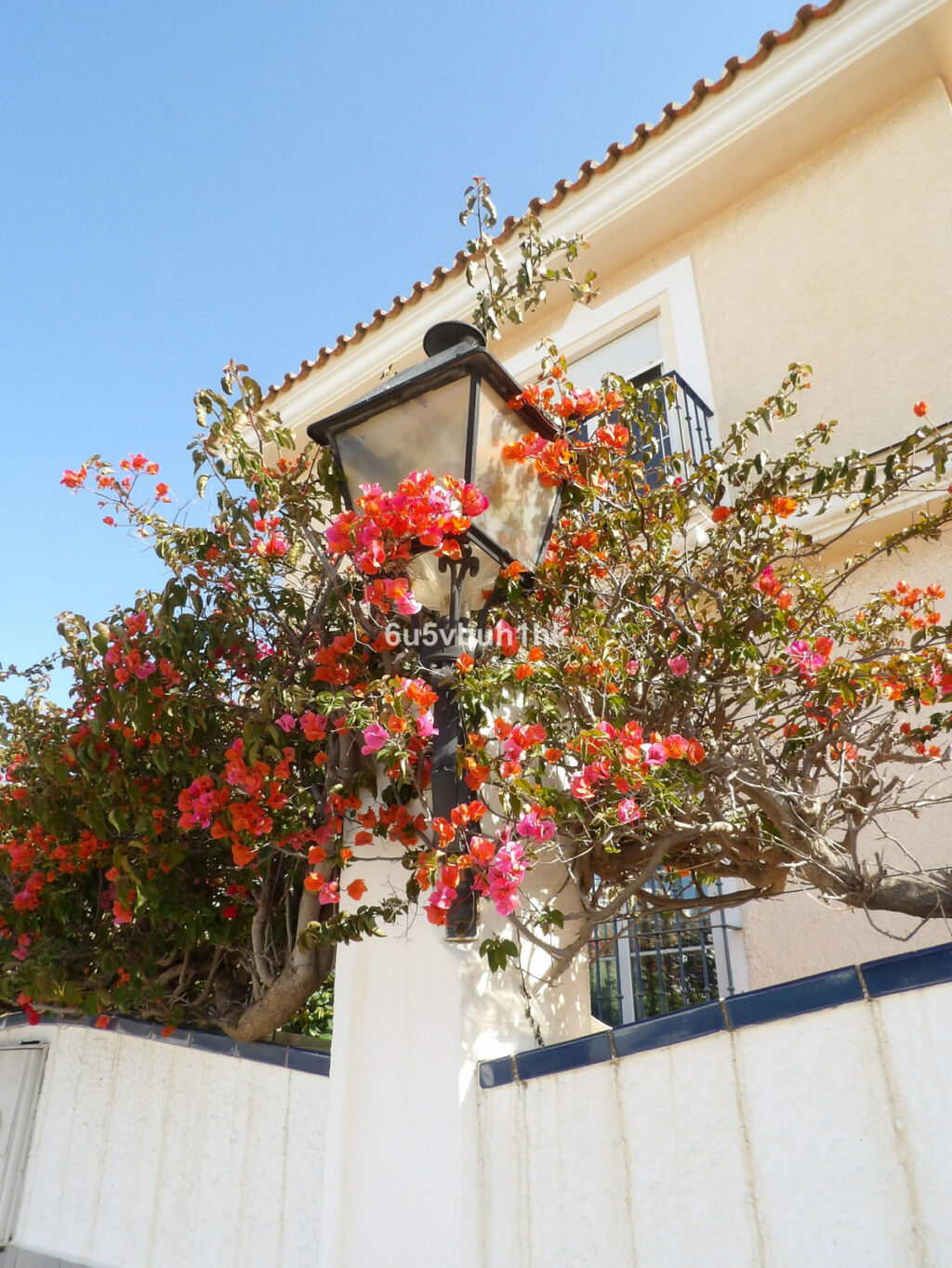 Detached Villa Fuengirola Málaga - image 26