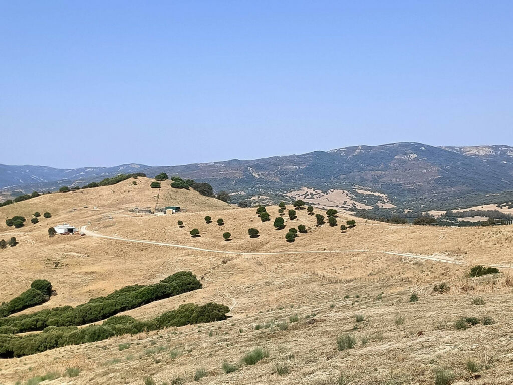 Farm Gaucín Málaga - image 22