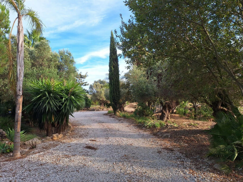 Finca - Cortijo San Martín de Tesorillo Cádiz - image 26