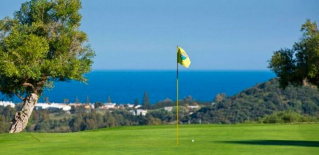 Detached Villa Estepona Málaga - image 26
