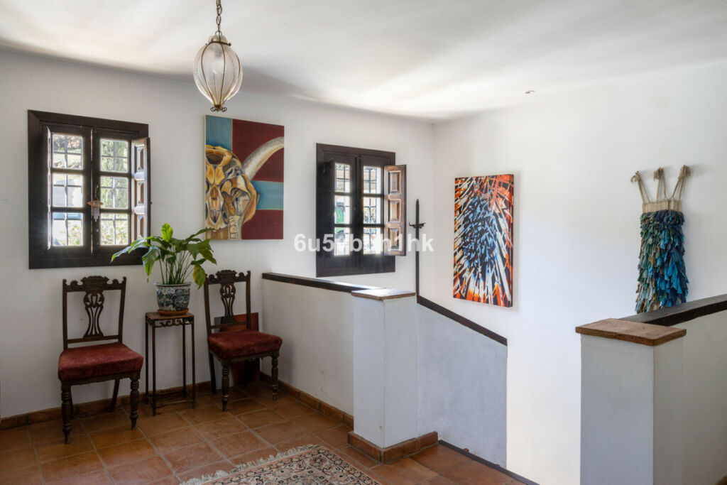 Detached Villa Torrox Málaga - image 27