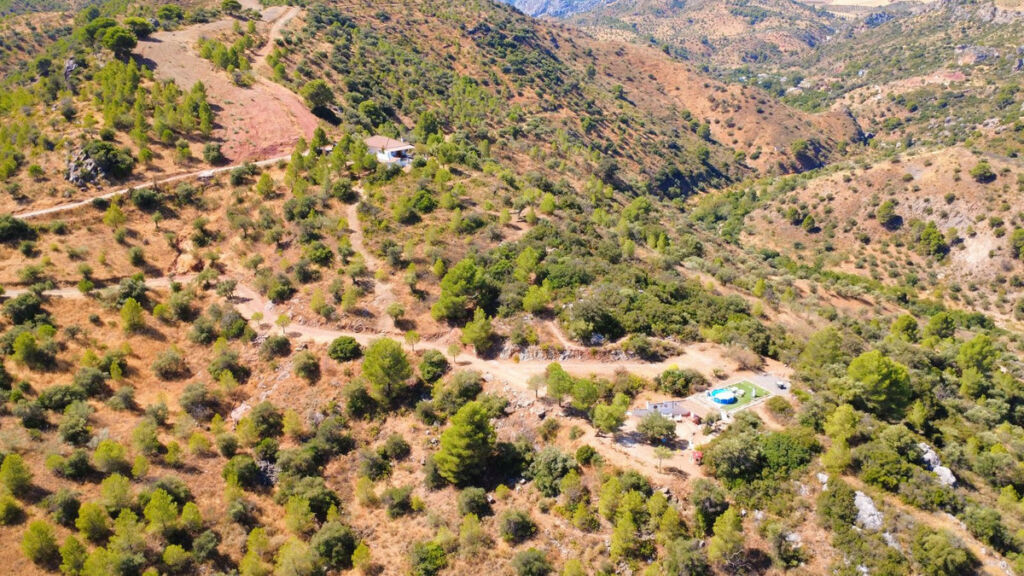 Finca - Cortijo Ardales Málaga - image 27