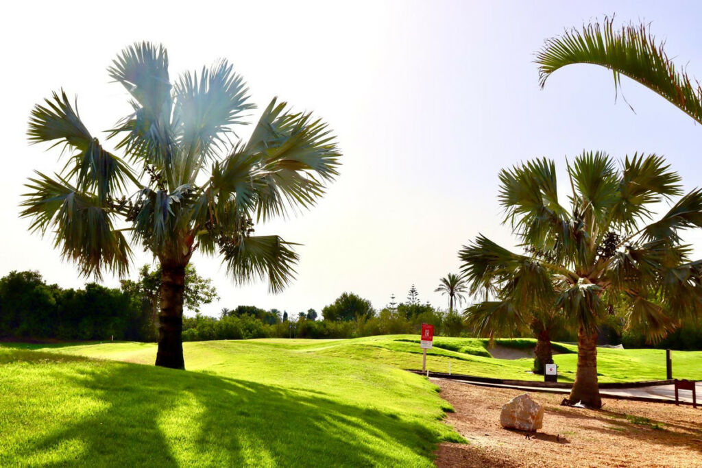 Penthouse Roda Golf Murcia - image 27