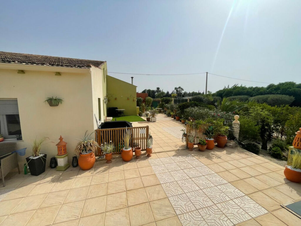 Finca - Cortijo Elche Alicante - image 27