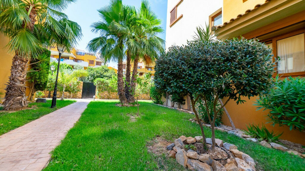Middle Floor Apartment Punta Prima Alicante - image 27