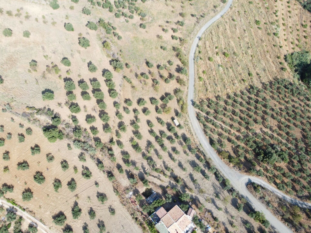 Finca - Cortijo Casarabonela Málaga - image 27