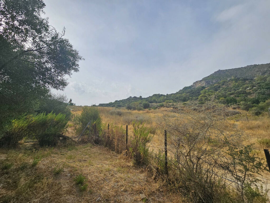 Finca - Cortijo Gaucín Málaga - image 27