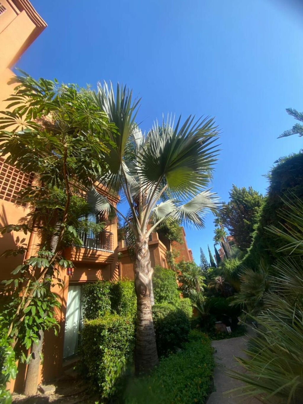 Ground Floor Apartment Atalaya Málaga - image 26