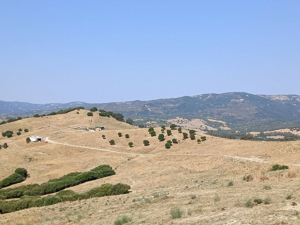 Farm Gaucín Málaga - image 23