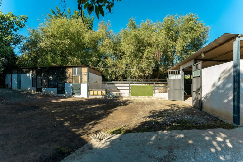 Detached Villa Coín Málaga - image 27